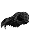 3D-printed fox skull for self-painting (16cm)